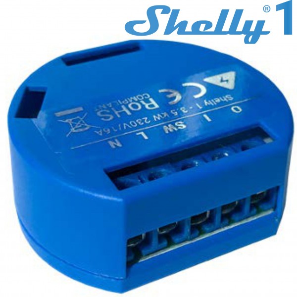 Shelly 1 Shelly 1